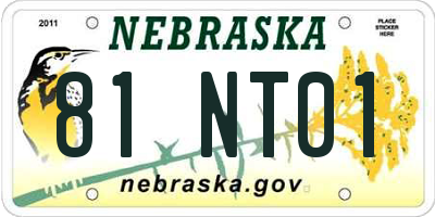 NE license plate 81NT01