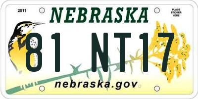 NE license plate 81NT17