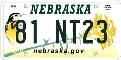 NE license plate 81NT23