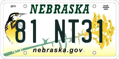 NE license plate 81NT31