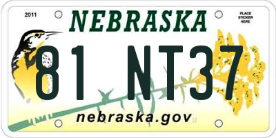 NE license plate 81NT37