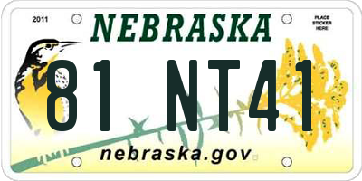 NE license plate 81NT41