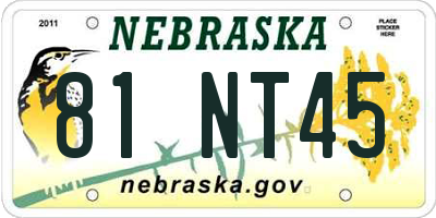 NE license plate 81NT45