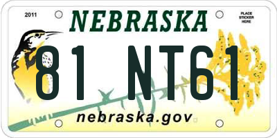 NE license plate 81NT61