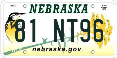 NE license plate 81NT96