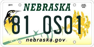 NE license plate 81OS01