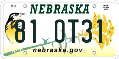 NE license plate 81OT31
