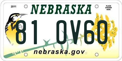 NE license plate 81OV60
