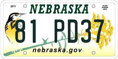 NE license plate 81PD37