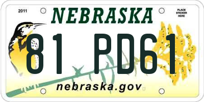 NE license plate 81PD61
