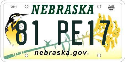 NE license plate 81PE17