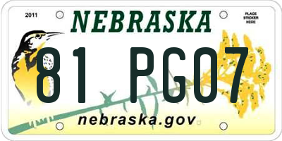 NE license plate 81PG07