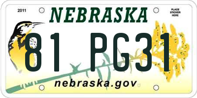 NE license plate 81PG31