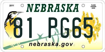 NE license plate 81PG65