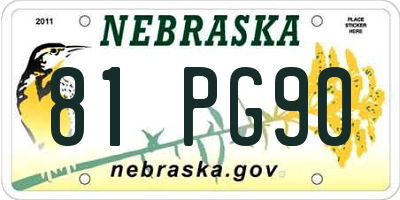 NE license plate 81PG90