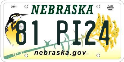 NE license plate 81PI24