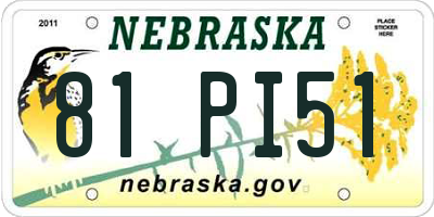 NE license plate 81PI51