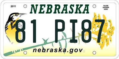 NE license plate 81PI87