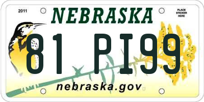 NE license plate 81PI99