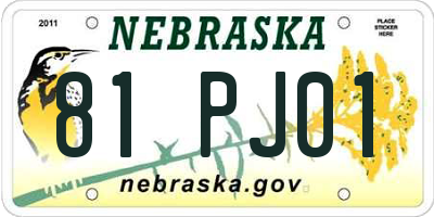 NE license plate 81PJ01