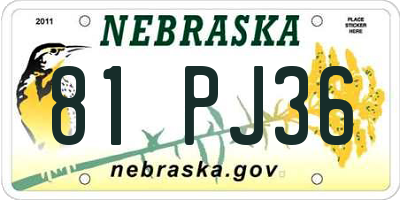 NE license plate 81PJ36