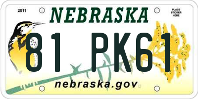 NE license plate 81PK61
