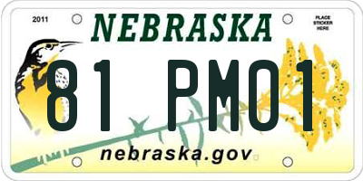 NE license plate 81PM01
