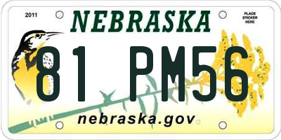 NE license plate 81PM56