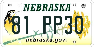 NE license plate 81PP30