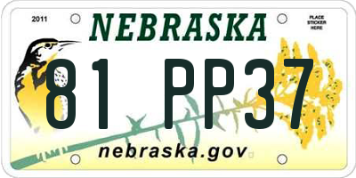 NE license plate 81PP37