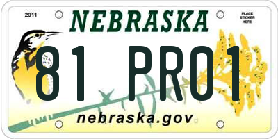 NE license plate 81PR01