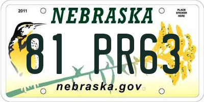 NE license plate 81PR63