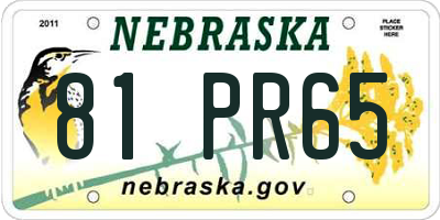NE license plate 81PR65