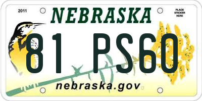 NE license plate 81PS60