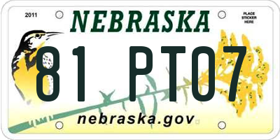 NE license plate 81PT07
