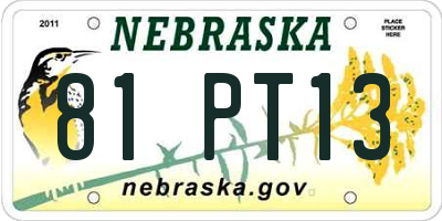 NE license plate 81PT13