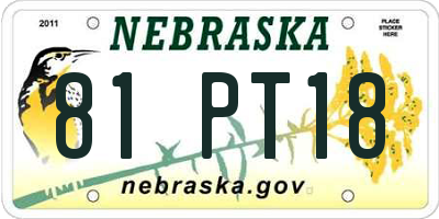NE license plate 81PT18