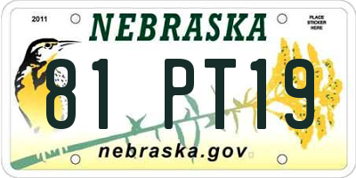NE license plate 81PT19