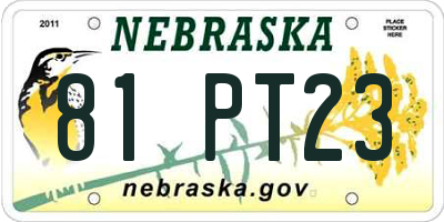 NE license plate 81PT23