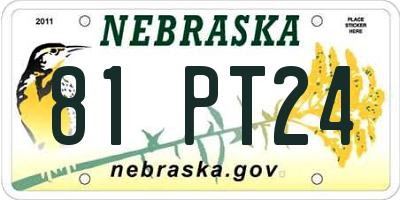 NE license plate 81PT24