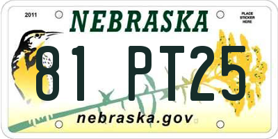 NE license plate 81PT25