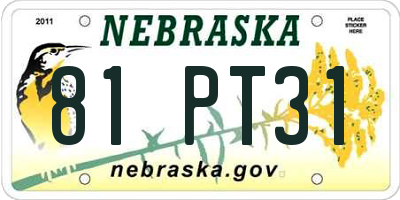 NE license plate 81PT31
