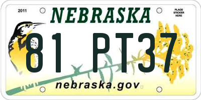 NE license plate 81PT37