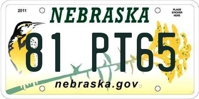 NE license plate 81PT65
