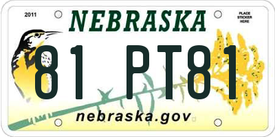 NE license plate 81PT81