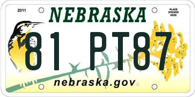 NE license plate 81PT87