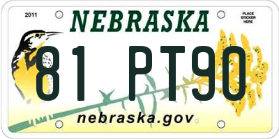NE license plate 81PT90