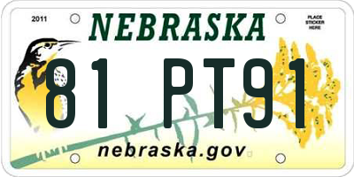 NE license plate 81PT91