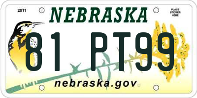 NE license plate 81PT99