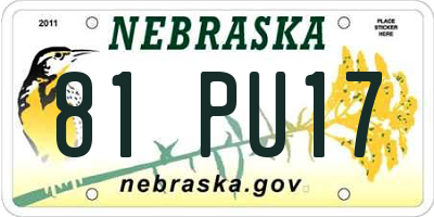 NE license plate 81PU17